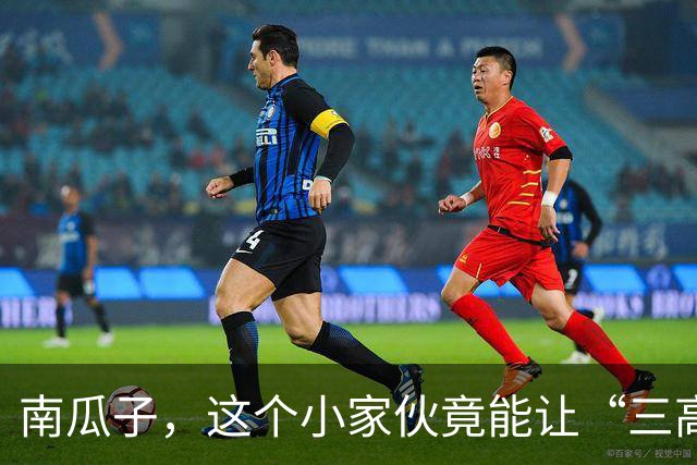 南瓜子，这个小家伙竟能让“三高”患者变身健康达人？
