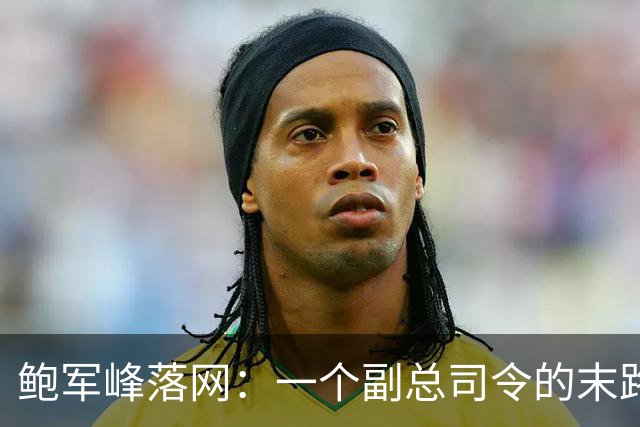 鲍军峰落网：一个副总司令的末路与反诈新篇章